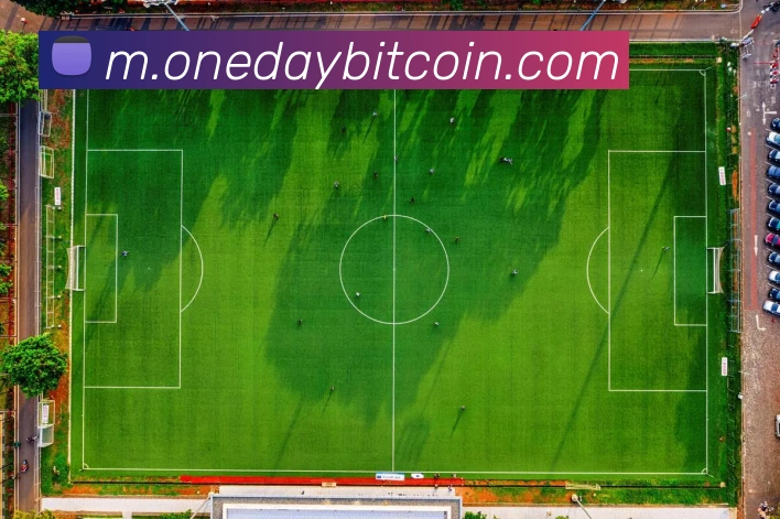 hth网页版登录APP 体育赛事宣传图